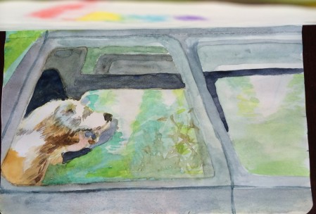 A watercolor drawing of a dog with it's head hanging out of a car.