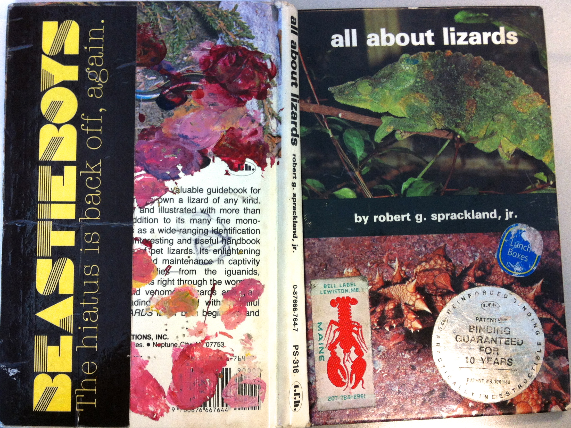 Lizard Sketchbook